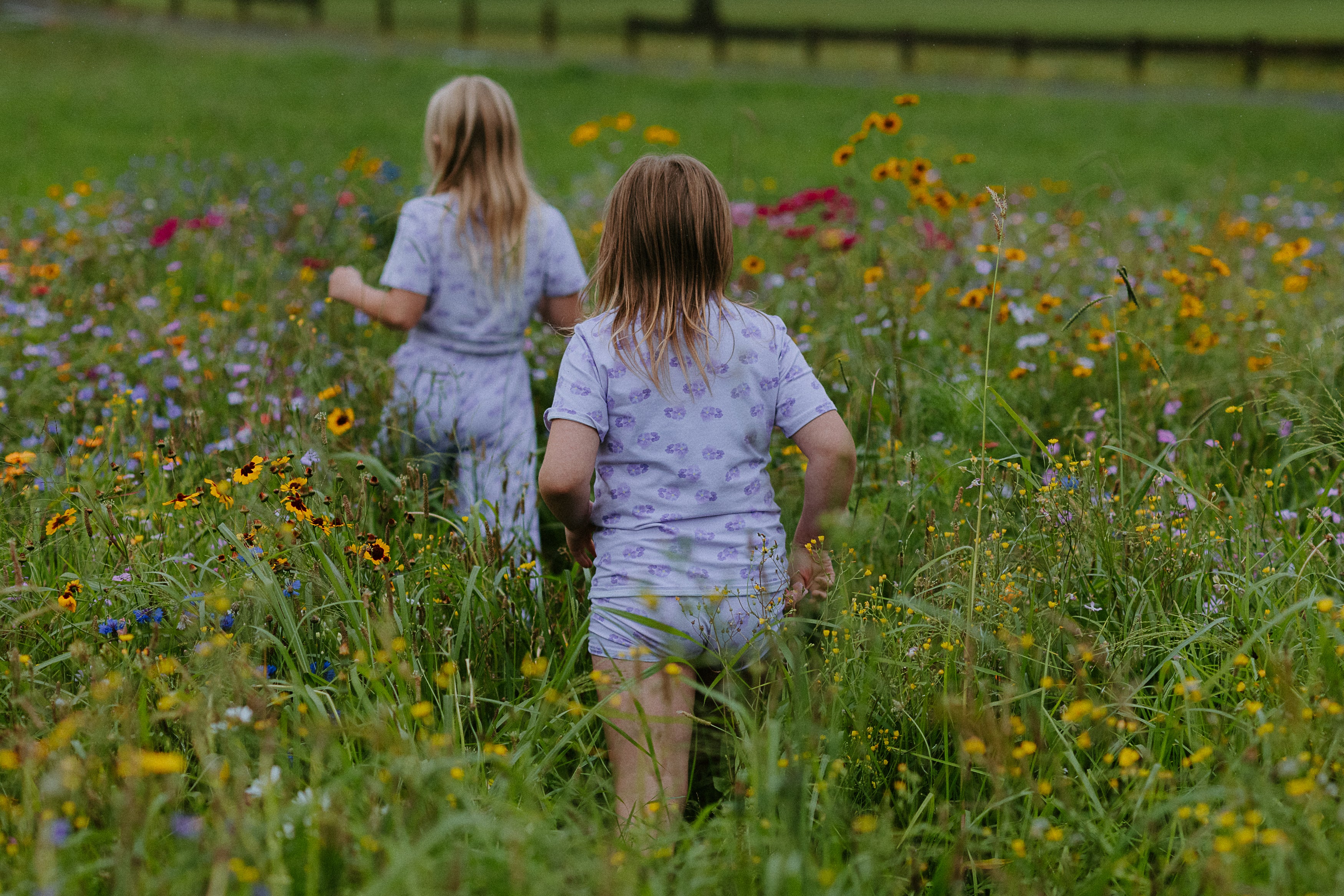 Purple Pansies- Cotton Day Set